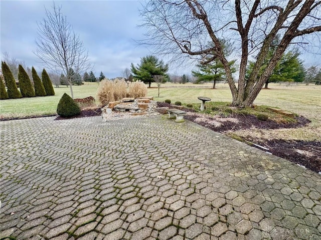 view of home's community with a yard