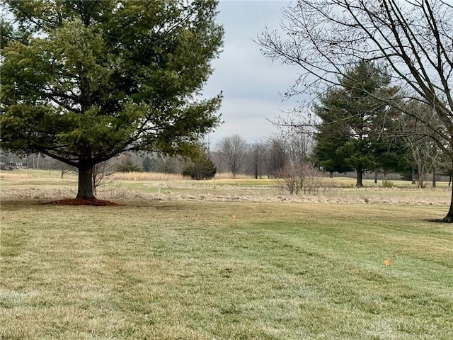 view of yard featuring a rural view