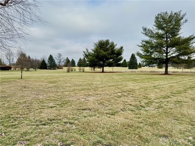 view of yard with a rural view