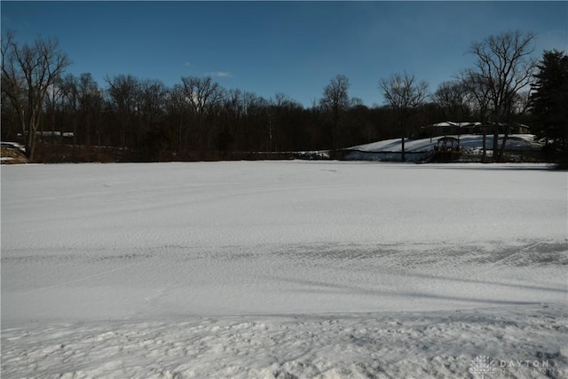 view of snowy yard