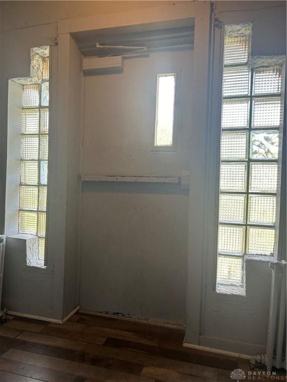 doorway to outside featuring dark wood-type flooring