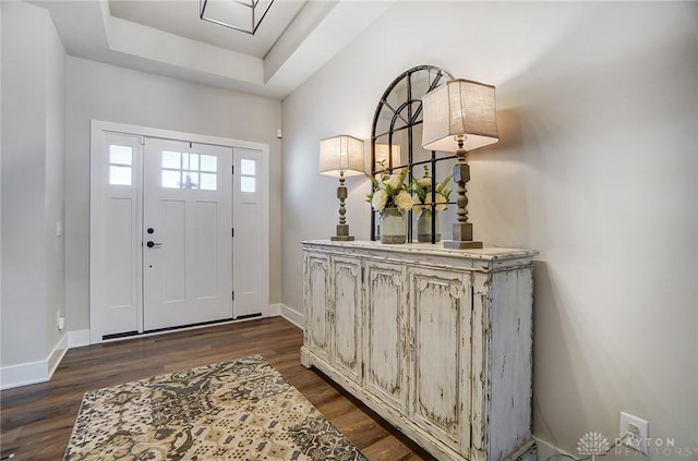 entrance foyer featuring dark wood-type flooring and a raised ceiling