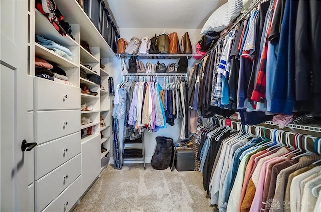 spacious closet with light carpet