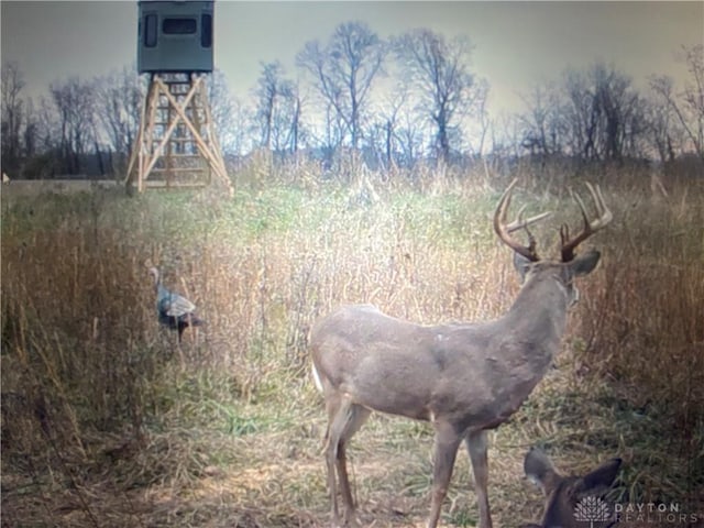 Listing photo 2 for 122AC Pumpkin Ridge Rd, West Union OH 45693