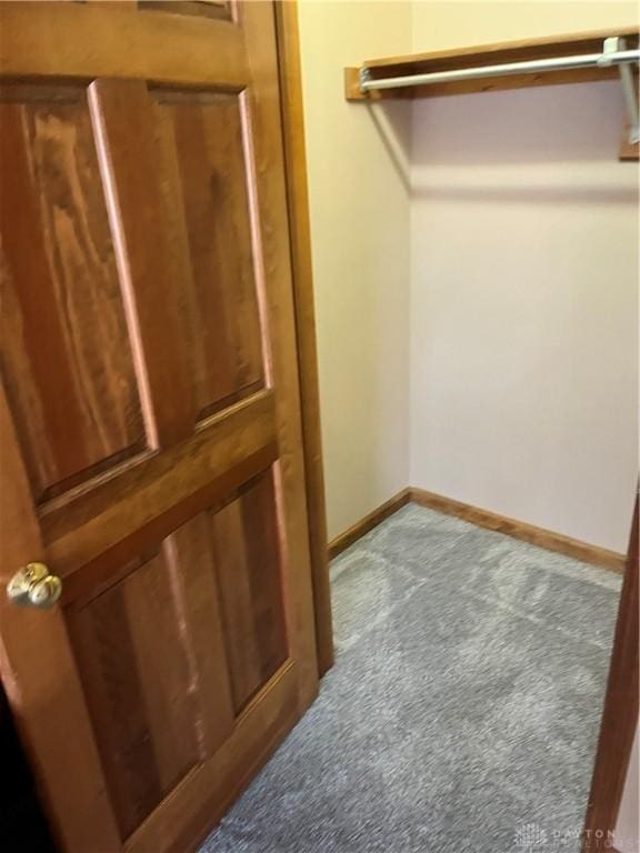 walk in closet with light carpet