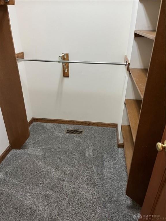 walk in closet featuring carpet flooring