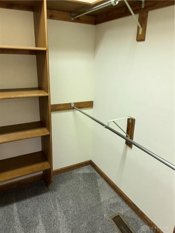 spacious closet with carpet floors