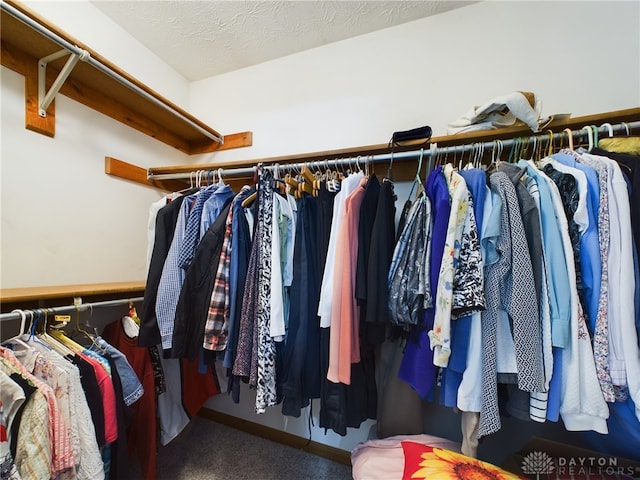 755 Willow Creek Way, Troy, OH 45373 - walk in closet with carpet floors