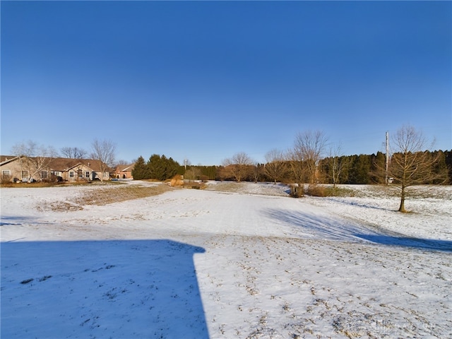 view of yard layered in snow