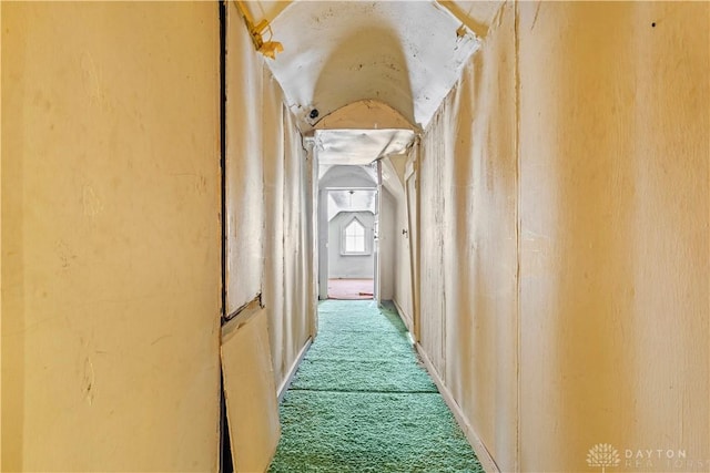 hallway with carpet