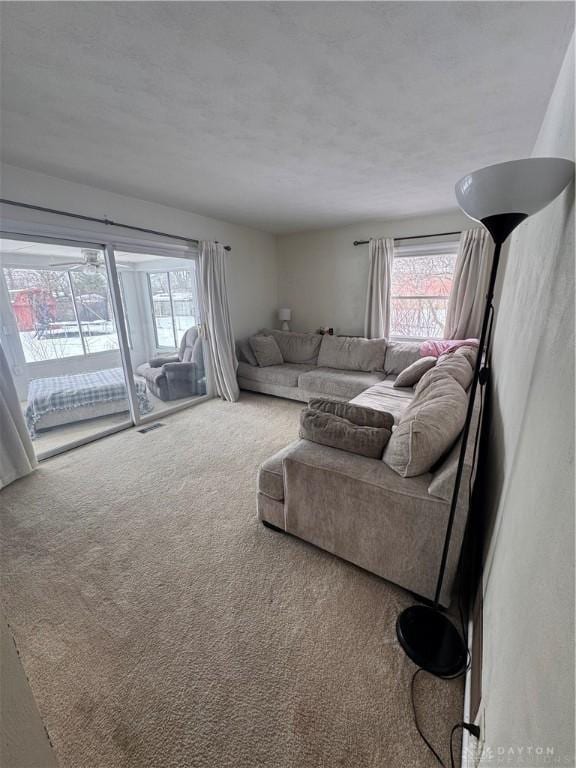 carpeted living room featuring plenty of natural light