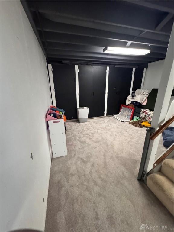 basement featuring carpet