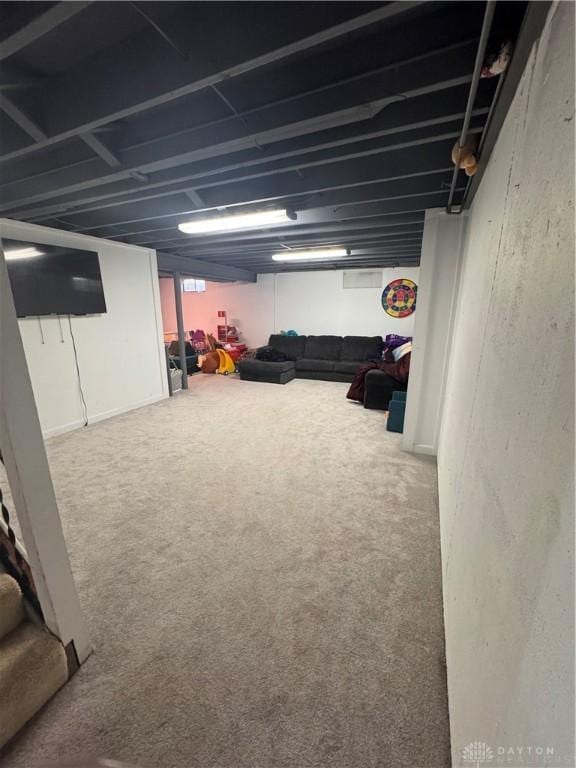 basement featuring carpet