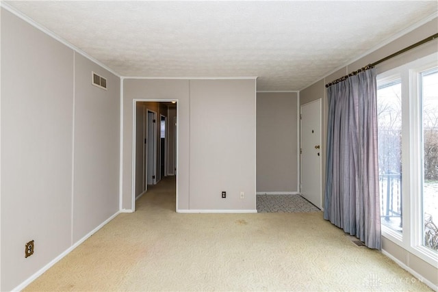 carpeted spare room with a textured ceiling and crown molding