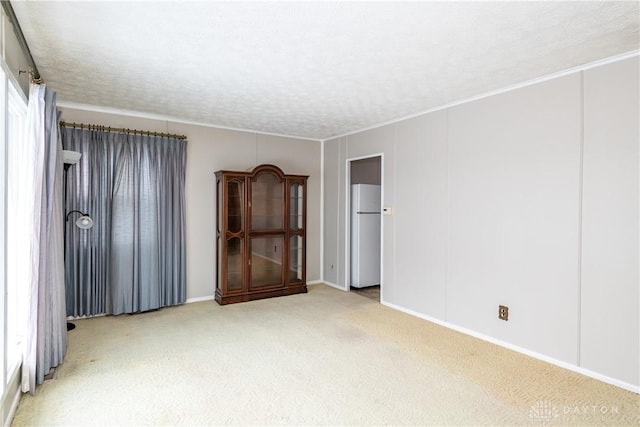 spare room featuring a textured ceiling and light colored carpet