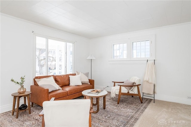 living room featuring carpet and crown molding