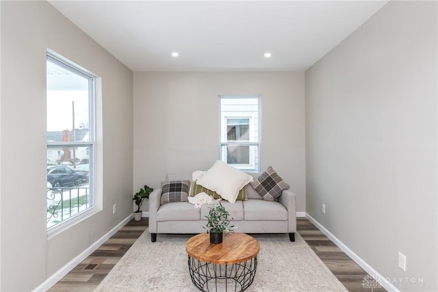 living area with wood-type flooring