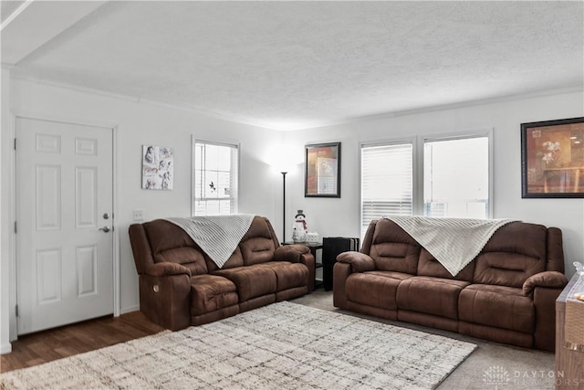 living room featuring hardwood / wood-style flooring and a textured ceiling