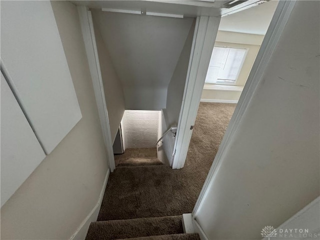 stairway with carpet floors