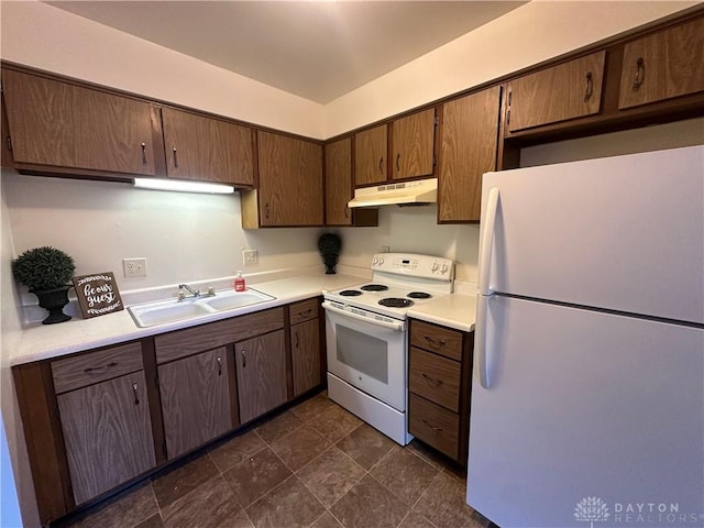 kitchen featuring sink, dark brown cabinets, and white appliances