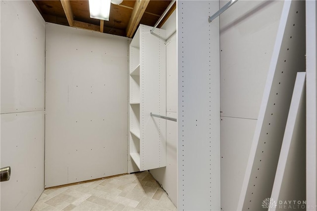 view of spacious closet