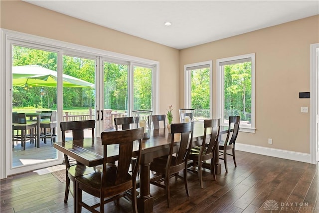 dining area with dark hardwood / wood-style floors