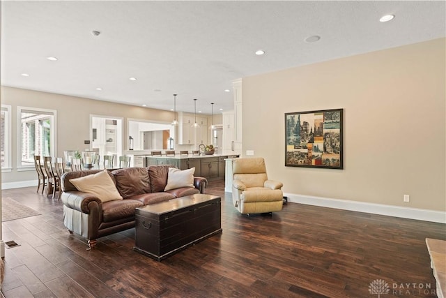 living room with sink and dark hardwood / wood-style flooring