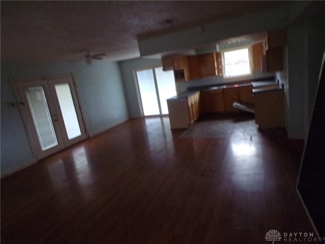 kitchen featuring dark wood-type flooring