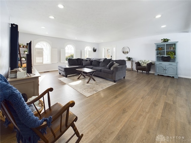 living room with hardwood / wood-style flooring