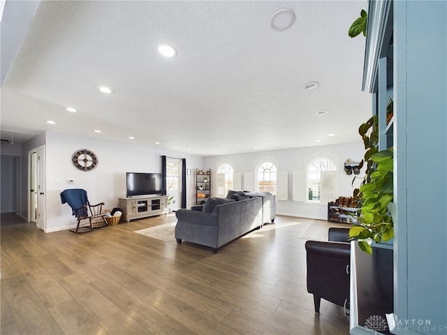 living room with hardwood / wood-style floors