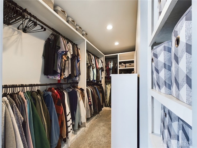 spacious closet featuring light carpet