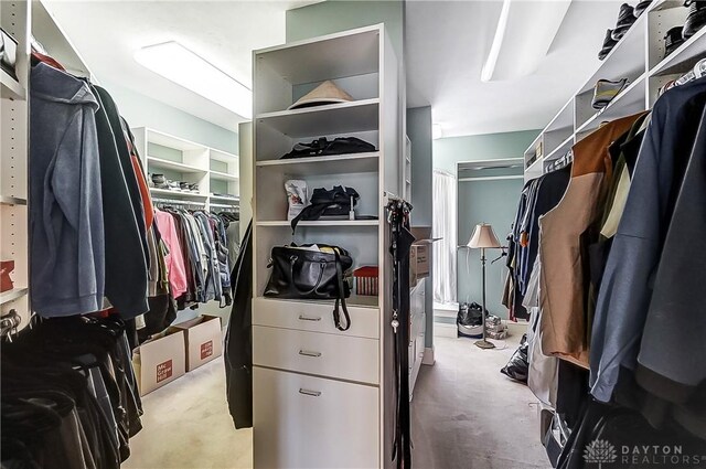 spacious closet featuring light colored carpet