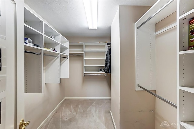 spacious closet featuring light colored carpet