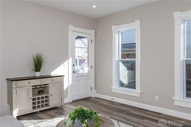 entryway featuring wood-type flooring