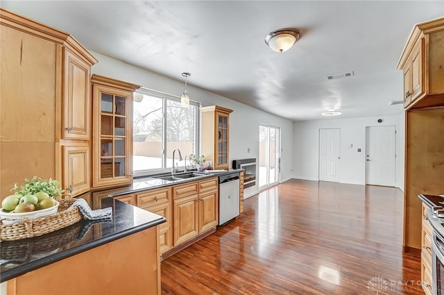 kitchen featuring sink, dishwasher, plenty of natural light, and dark wood-type flooring