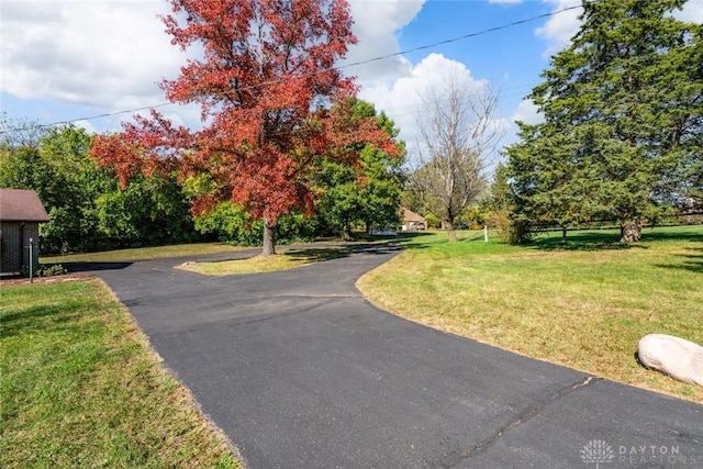 view of community with a yard