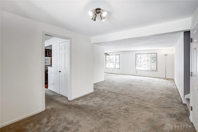 spare room with carpet floors