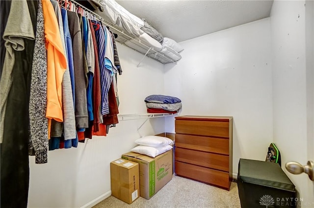 walk in closet with light colored carpet