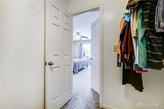 walk in closet with carpet flooring