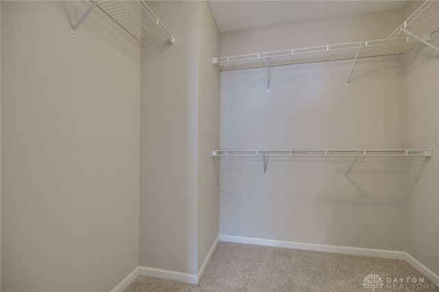 walk in closet featuring carpet floors