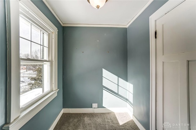 carpeted spare room with crown molding and baseboards