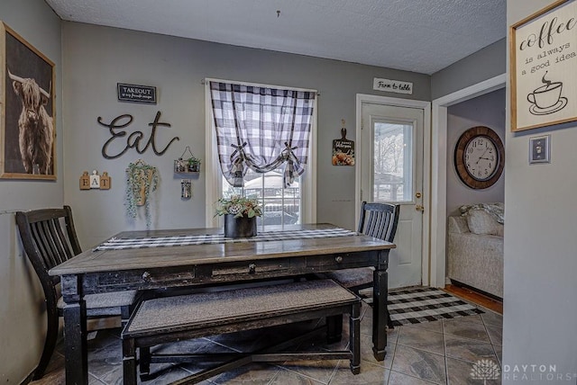 dining room with a wealth of natural light and a textured ceiling