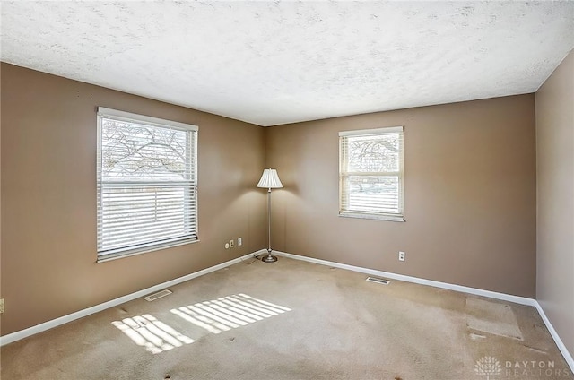 spare room featuring a healthy amount of sunlight, carpet floors, and a textured ceiling