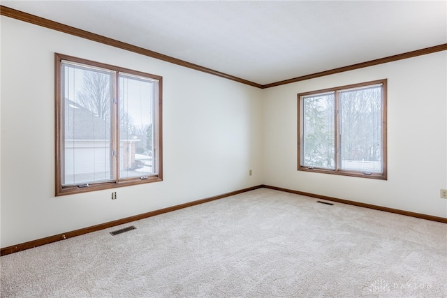 carpeted spare room featuring ornamental molding and a healthy amount of sunlight