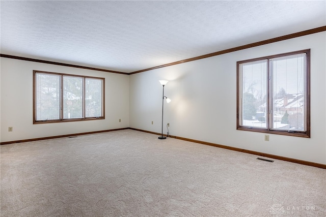 carpeted spare room featuring ornamental molding