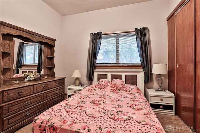 bedroom featuring multiple windows, wood-type flooring, and a closet