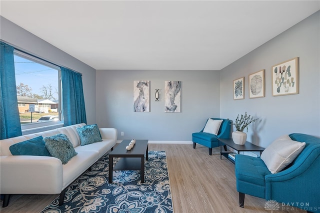 living room with hardwood / wood-style floors