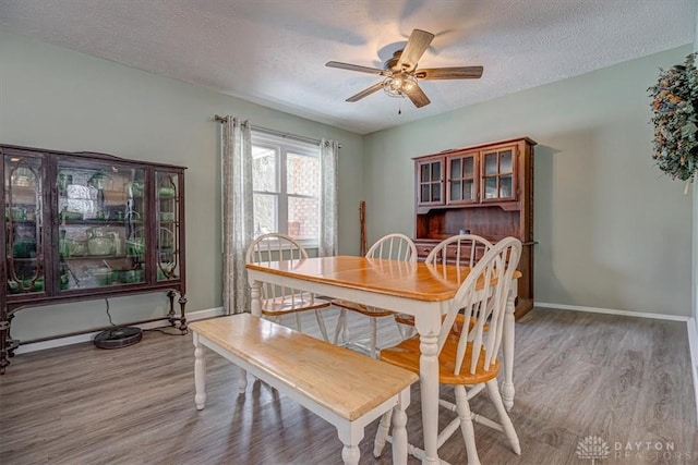 dining room featuring ceiling fan, a textured ceiling, and light hardwood / wood-style floors