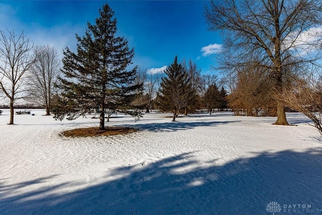 view of yard covered in snow