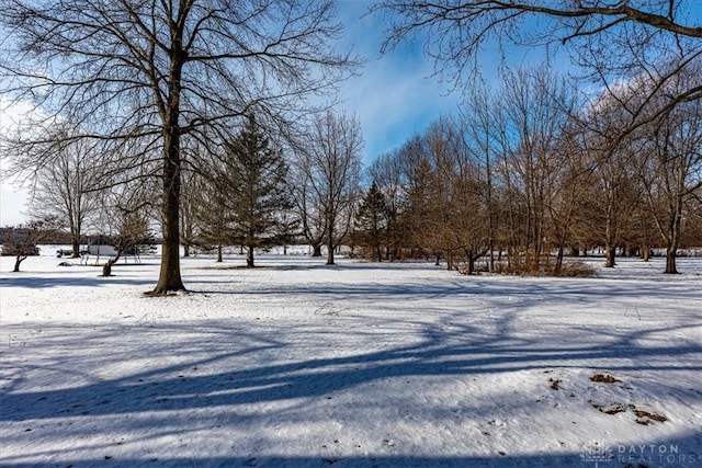 view of yard covered in snow